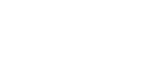 НПП Спецавиа
